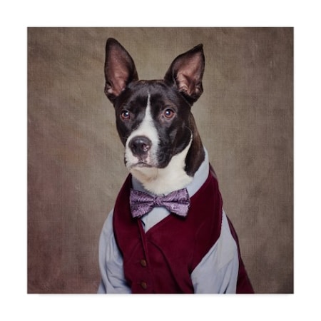 Tammy Swarek 'Shelter Pets Project Petey' Canvas Art,35x35